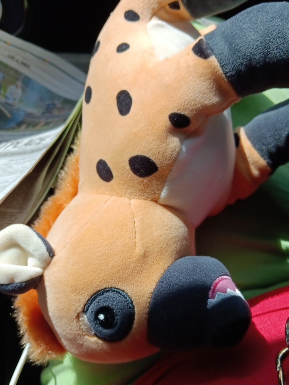 Stuffy NWOT